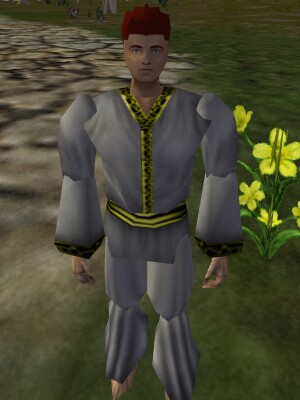 File:Asheron's Raiment Live.jpg