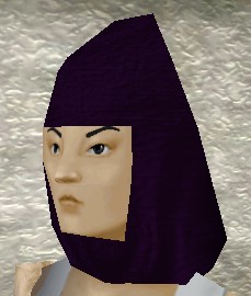 File:Cowl (Store) Dark Purple Live.jpg