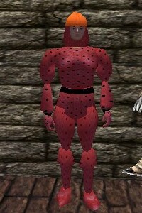 File:Studded Leather Armor Fail Live.jpg