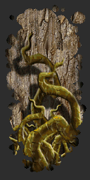 File:0x05002373.png