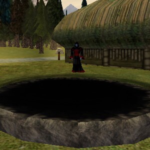 File:Derethian Combat Arena (Non PvP Servers) Live.jpg