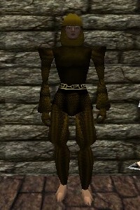 File:Chainmail Armor Berimphur Live.jpg