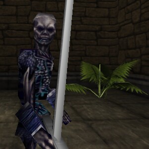 File:Dungeon Fern Live 3.jpg