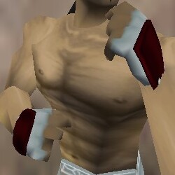 File:O-Yoroi Gauntlets Hennacin Live.jpg