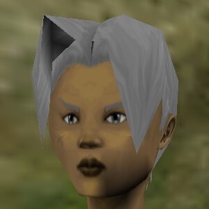 File:Haircut Skin 21 Texture Live.jpg