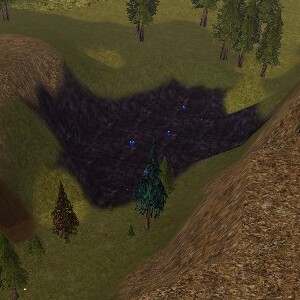 File:Congregation of Blight Spirits Live.jpg