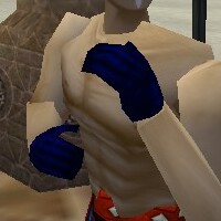 File:Noble Gauntlets Colban Live.jpg