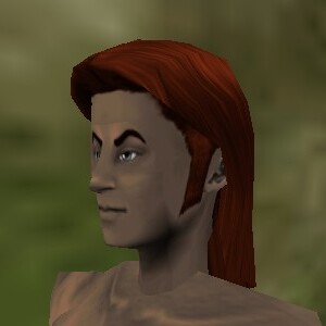 File:Haircut Dark Male 1 Texture Live.jpg