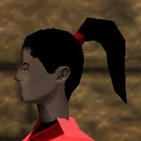 File:Haircut Skin 5 Live.jpg
