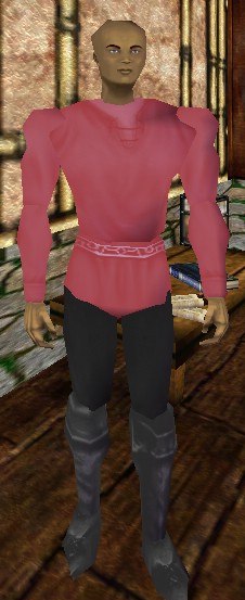 File:Apprentice Cook (Nanto) Live.jpg