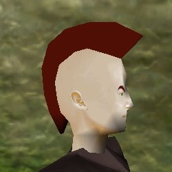 File:Haircut Skin 13 Live.jpg