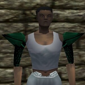 File:Scalemail Pauldrons Live.jpg