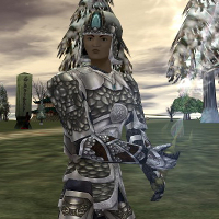 File:Armor 2.jpg