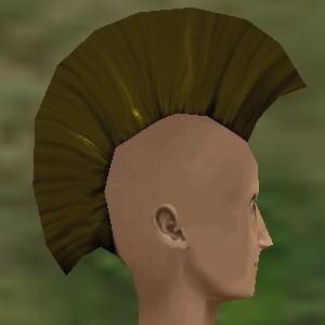 File:Haircut Skin 13 Texture Live.jpg