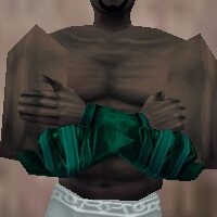 File:Armoredillo Hide Bracers Minalim Live.jpg