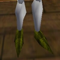 File:Gromnie Hide Boots Berimphur Live.jpg