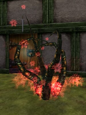 File:Summoning Ritual of T'thuun 2 Live Live.jpg