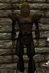 File:Scalemail Armor Berimphur Live.jpg