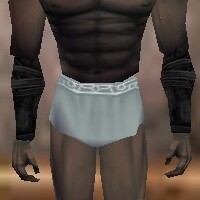 File:Armoredillo Hide Bracers Thananim Live.jpg