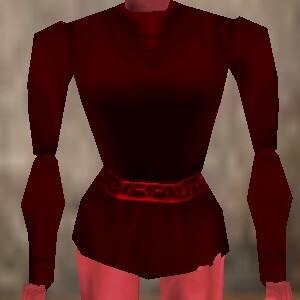 File:Seasoned Explorer Shirt Hennacin Live.jpg