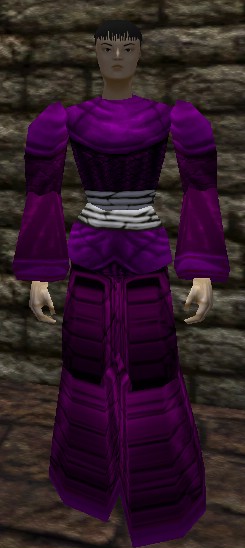 File:Sturdy Reedshark Robe Relanim Live.jpg