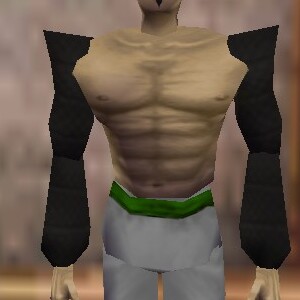 File:Sleeves of Inexhaustibility Thananim Live.jpg