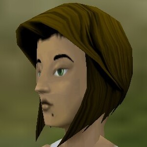 File:Haircut Dark Female 5 Texture Live.jpg