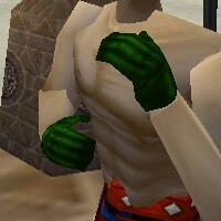 File:Noble Gauntlets Verdalim Live.jpg
