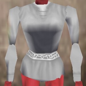 File:Seasoned Explorer Shirt Argenory Live.jpg