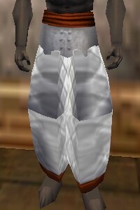 File:Amuli Leggings (Infiltrator Master) Argenory Live.jpg
