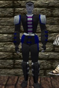 File:Leather Armor Thananim Live.jpg