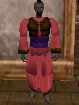File:Dho Vest and Over-robe Fail Live.jpg