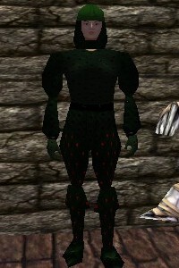 File:Studded Leather Armor Verdalim Live.jpg