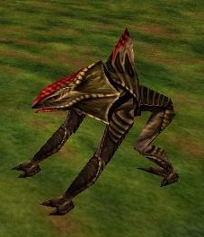 File:Veteran Reedshark (Old Artwork) Live.jpg