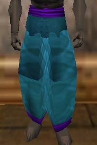 File:Amuli Leggings (The Crafter) Lapyan Live.jpg