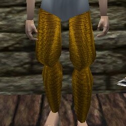 File:Chainmail Leggings Live.jpg