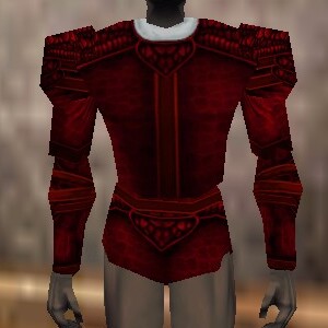 File:Armoredillo Hide Coat Hennacin Live.jpg