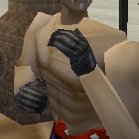 File:Noble Gauntlets Argenory Live.jpg
