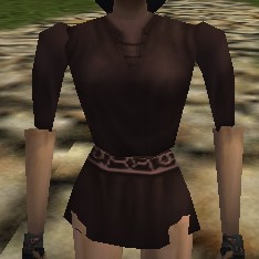 File:Tunic (Brown) Live.jpg