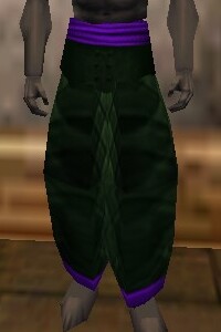 File:Amuli Leggings (The Crafter) Verdalim Live.jpg