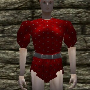 File:Studded Leather Shirt (Loot) Live.jpg