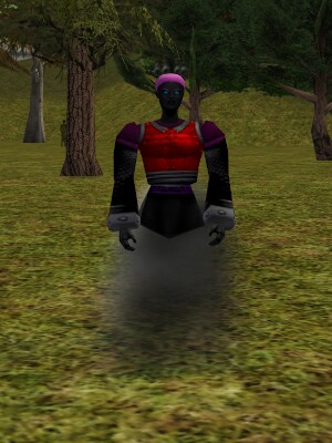 File:Shadow Captain (NPC) Live.jpg