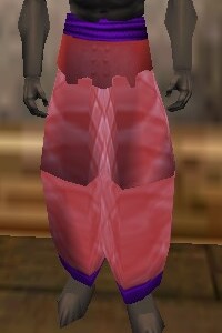 File:Amuli Leggings (The Crafter) Fail Live.jpg