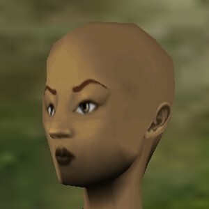 File:Haircut Skin 23 Texture Live.jpg