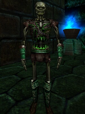 File:Lesser Acolyte (Level 50) Live.jpg