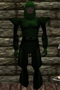 File:Scalemail Armor Verdalim Live.jpg