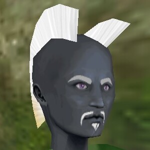 File:Haircut Skin 15 Texture Live.jpg