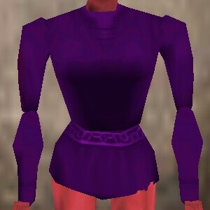 File:Seasoned Explorer Shirt Relanim Live.jpg