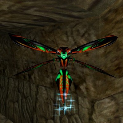File:Giant Phyntos Wasp Live.jpg