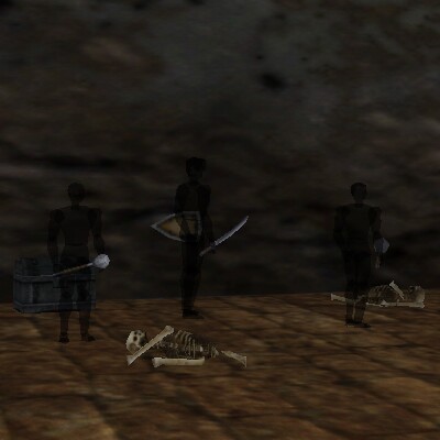 File:26.3S, 57.8E - Swamp Bunker Live 3.jpg